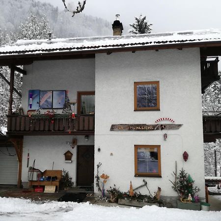 Ferienwohnung Haus Mühlbichl Finkenberg Exterior foto